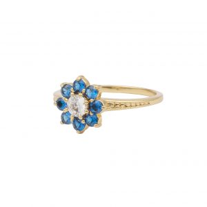 all-the-luck-in-the-world-ring-bloem-blauw-transpa
