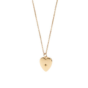 all-the-luck-in-the-world-aime-goldplated-ketting (1)