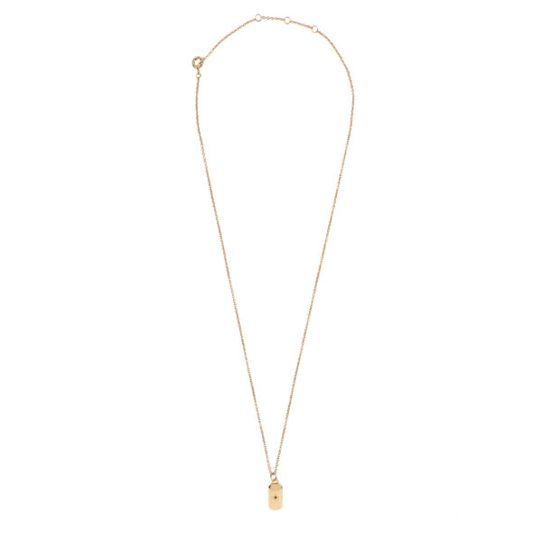 all-the-luck-in-the-world-aime-goldplated-ketting (4)