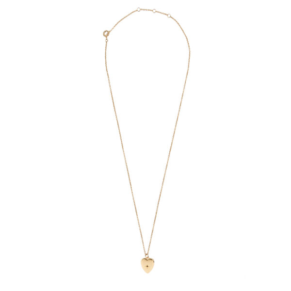 all-the-luck-in-the-world-aime-goldplated-ketting