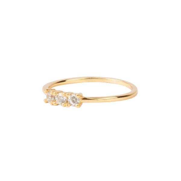 all-the-luck-in-the-world-jolie-ring-goldplated-st (1)