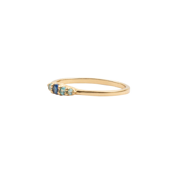all-the-luck-in-the-world-cherie-goldplated-ring-b (4)