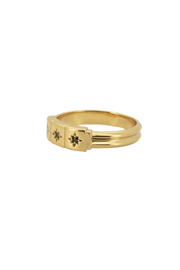 all-the-luck-in-the-world-cherie-goldplated-ring-t (1)