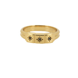 all-the-luck-in-the-world-cherie-goldplated-ring-t