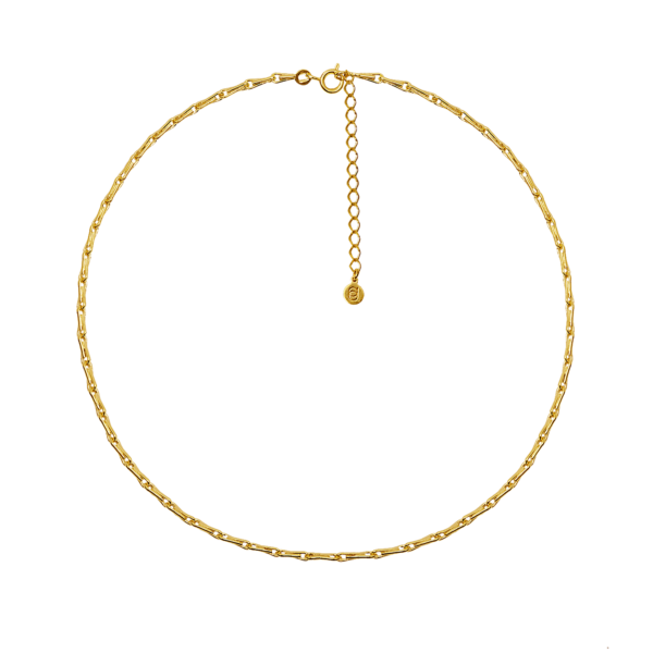 Epi Gold Necklace – Gold Plated