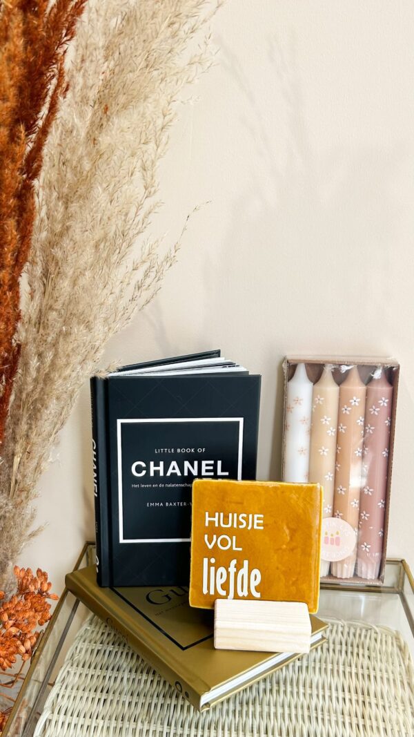 Little book of Chanel