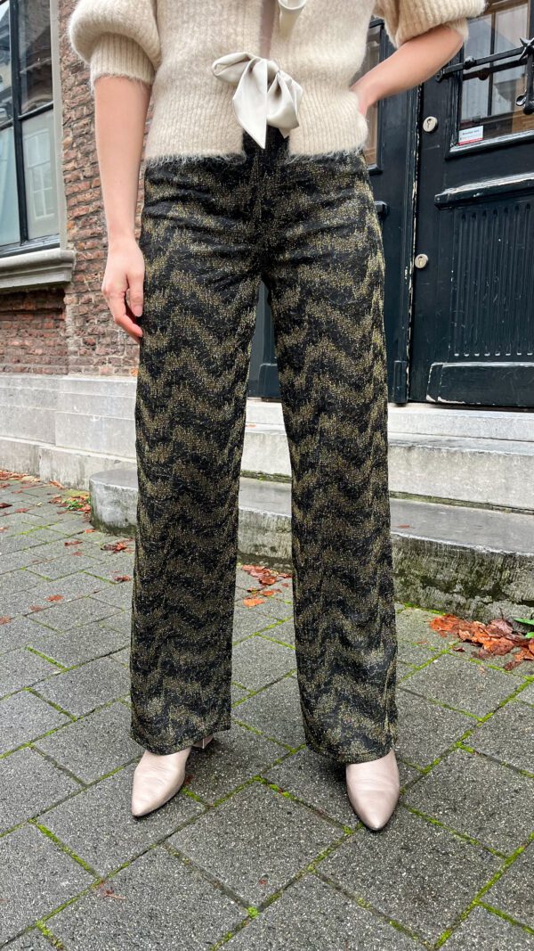 LR-JONE1 glitter broek