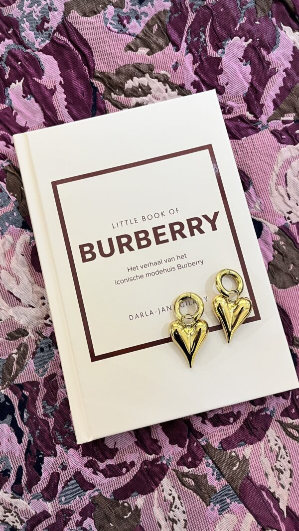 Little book of Burberry