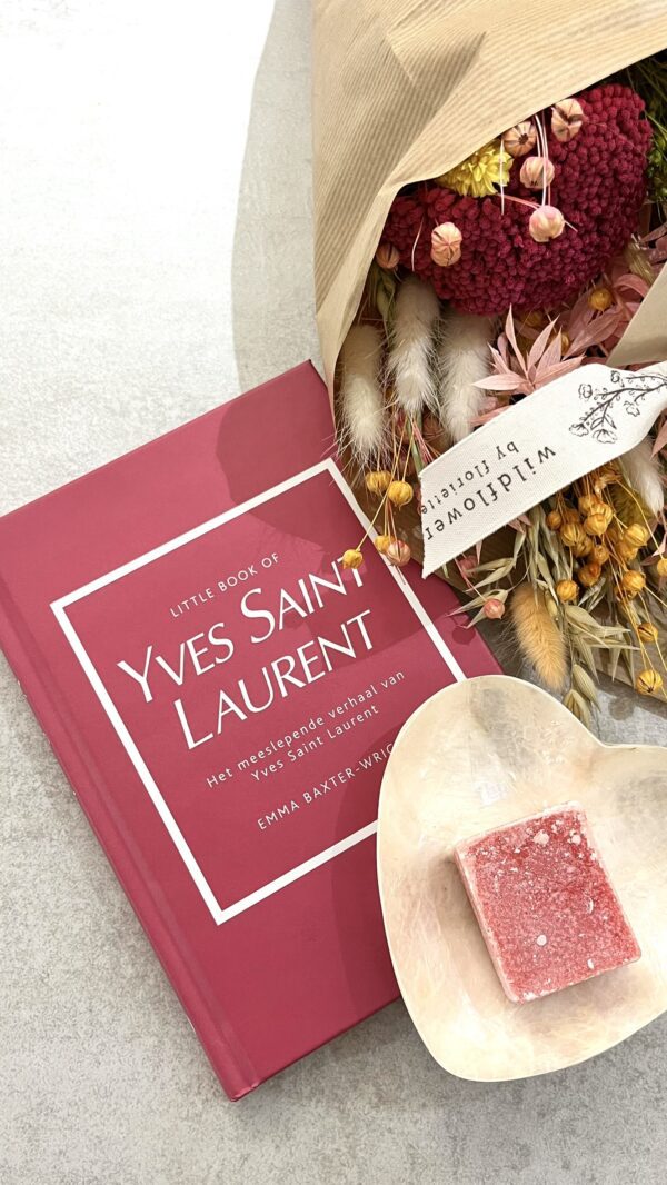 Little book of YSL