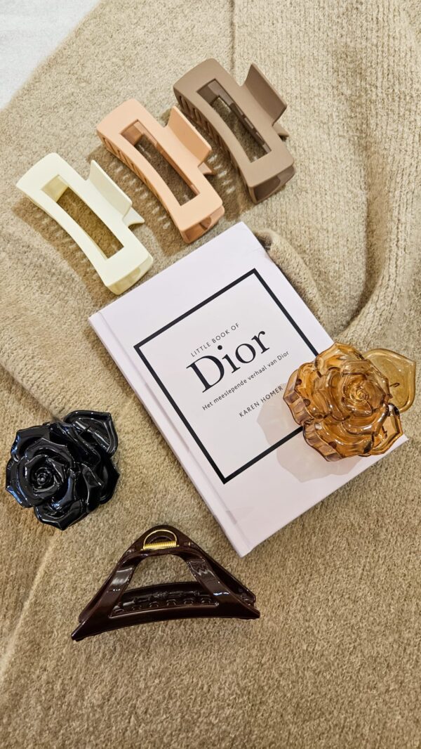 Little book of Dior